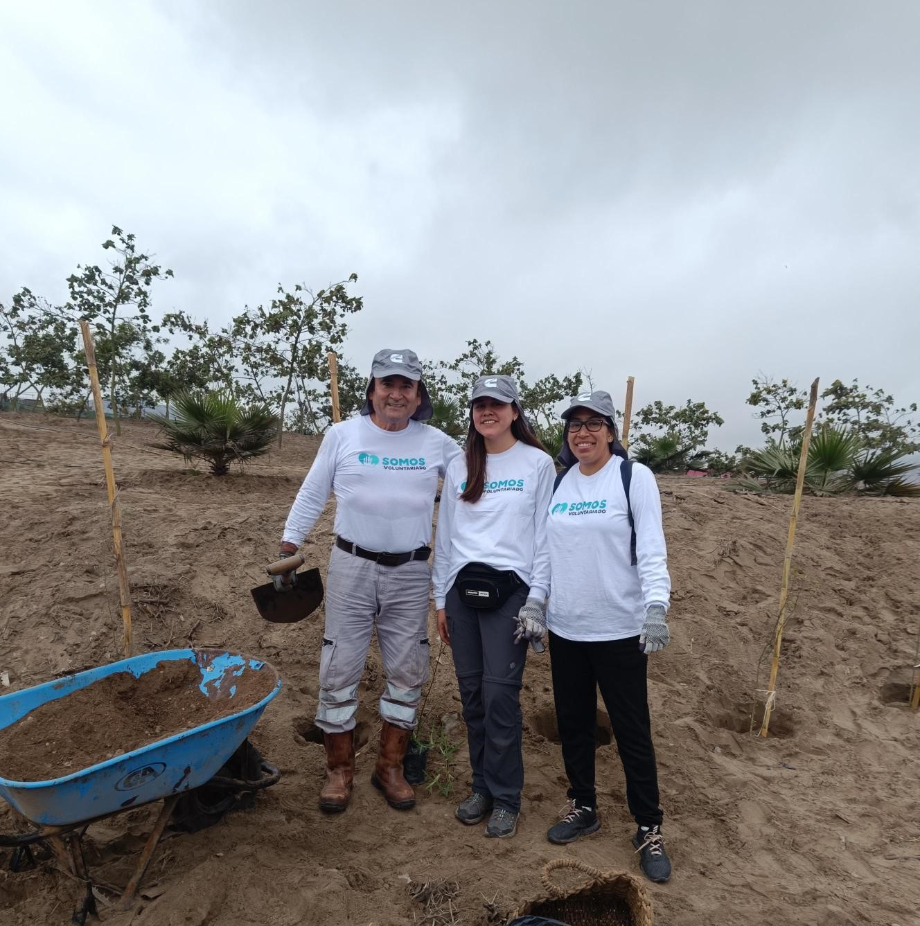Equipo Cummins en la actividad Sembrando Verde